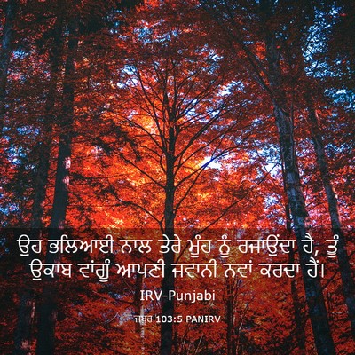 Picture 03 - ਜ਼ਬੂਰ 103:5 PANIRV - ਉਹ ਭਲਿਆਈ ਨਾਲ ਤੇਰੇ - Bible Verse Picture