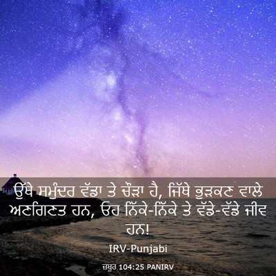 Picture 03 - ਜ਼ਬੂਰ 104:25 PANIRV - ਉੱਥੇ ਸਮੁੰਦਰ ਵੱਡਾ - Bible Verse Picture