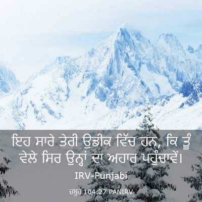 Picture 03 - ਜ਼ਬੂਰ 104:27 PANIRV - ਇਹ ਸਾਰੇ ਤੇਰੀ ਉਡੀਕ - Bible Verse Picture