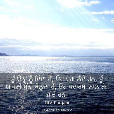 Picture 03 - ਜ਼ਬੂਰ 104:28 PANIRV - ਤੂੰ ਉਨ੍ਹਾਂ ਨੂੰ - Bible Verse Picture