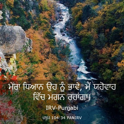 Picture 03 - ਜ਼ਬੂਰ 104:34 PANIRV - ਮੇਰਾ ਧਿਆਨ ਉਹ ਨੂੰ - Bible Verse Picture