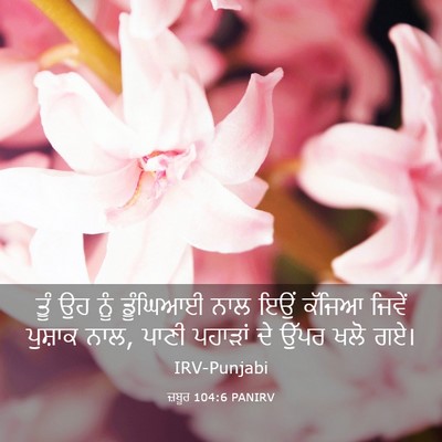 Picture 03 - ਜ਼ਬੂਰ 104:6 PANIRV - ਤੂੰ ਉਹ ਨੂੰ ਡੂੰਘਿਆਈ - Bible Verse Picture
