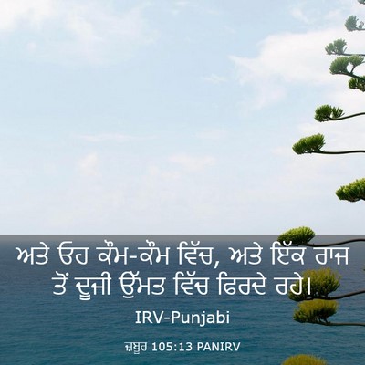 Picture 03 - ਜ਼ਬੂਰ 105:13 PANIRV - ਅਤੇ ਓਹ ਕੌਮ-ਕੌਮ - Bible Verse Picture