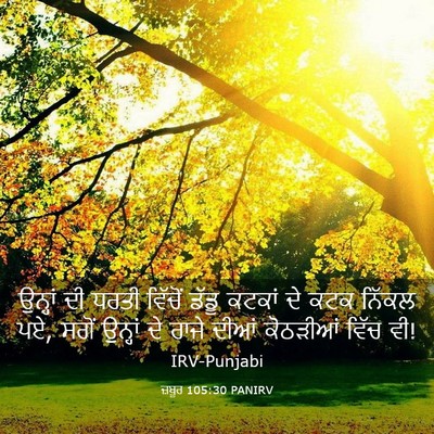 Picture 03 - ਜ਼ਬੂਰ 105:30 PANIRV - ਉਨ੍ਹਾਂ ਦੀ ਧਰਤੀ - Bible Verse Picture