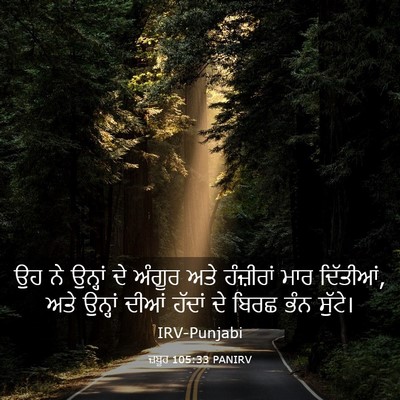 Picture 03 - ਜ਼ਬੂਰ 105:33 PANIRV - ਉਹ ਨੇ ਉਨ੍ਹਾਂ ਦੇ - Bible Verse Picture