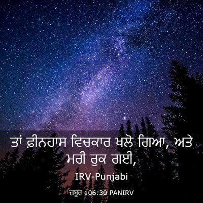 Picture 03 - ਜ਼ਬੂਰ 106:30 PANIRV - ਤਾਂ ਫ਼ੀਨਹਾਸ - Bible Verse Picture