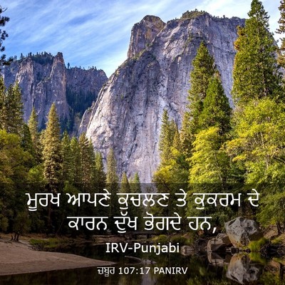 Picture 03 - ਜ਼ਬੂਰ 107:17 PANIRV - ਮੂਰਖ ਆਪਣੇ ਕੁਚਲਣ ਤੇ - Bible Verse Picture