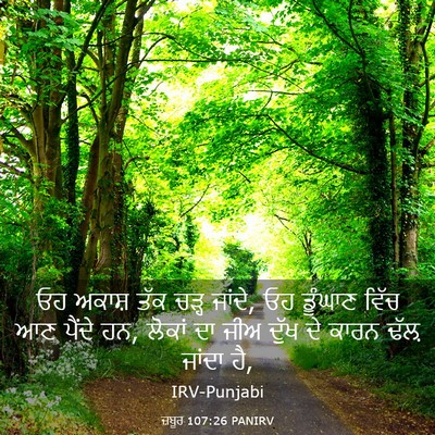 Picture 03 - ਜ਼ਬੂਰ 107:26 PANIRV - ਓਹ ਅਕਾਸ਼ ਤੱਕ ਚੜ੍ਹ - Bible Verse Picture