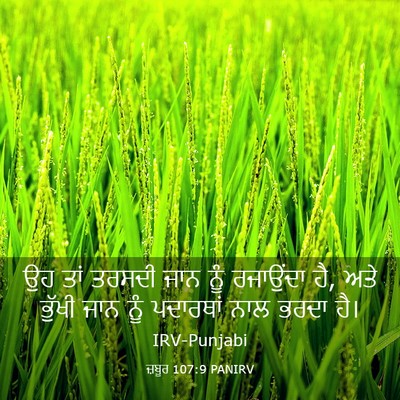 Picture 03 - ਜ਼ਬੂਰ 107:9 PANIRV - ਉਹ ਤਾਂ ਤਰਸਦੀ ਜਾਨ - Bible Verse Picture