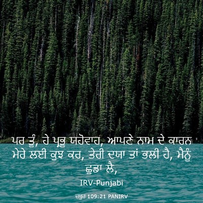 Picture 03 - ਜ਼ਬੂਰ 109:21 PANIRV - ਪਰ ਤੂੰ, ਹੇ ਪ੍ਰਭੂ - Bible Verse Picture