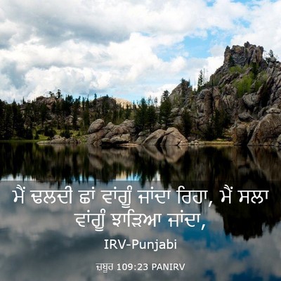 Picture 03 - ਜ਼ਬੂਰ 109:23 PANIRV - ਮੈਂ ਢਲਦੀ ਛਾਂ - Bible Verse Picture