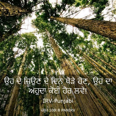 Picture 03 - ਜ਼ਬੂਰ 109:8 PANIRV - ਉਹ ਦੇ ਜਿਉਣ ਦੇ ਦਿਨ - Bible Verse Picture