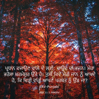 Picture 03 - ਜ਼ਬੂਰ 11:1 PANIRV - ਪ੍ਰਧਾਨ ਵਜਾਉਣ ਵਾਲੇ - Bible Verse Picture