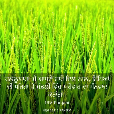 Picture 03 - ਜ਼ਬੂਰ 111:1 PANIRV - ਹਲਲੂਯਾਹ! ਮੈਂ ਆਪਣੇ - Bible Verse Picture