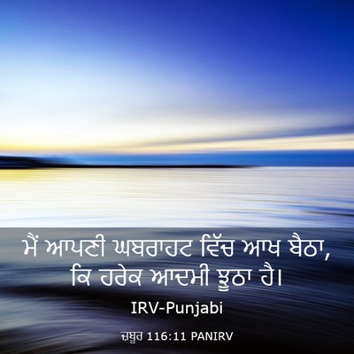 Picture 03 - ਜ਼ਬੂਰ 116:11 PANIRV - ਮੈਂ ਆਪਣੀ ਘਬਰਾਹਟ - Bible Verse Picture