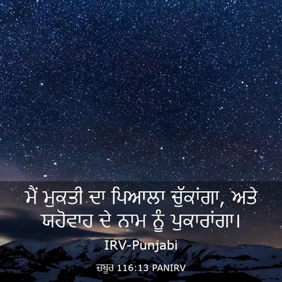Picture 03 - ਜ਼ਬੂਰ 116:13 PANIRV - ਮੈਂ ਮੁਕਤੀ ਦਾ ਪਿਆਲਾ - Bible Verse Picture