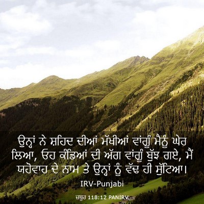 Picture 03 - ਜ਼ਬੂਰ 118:12 PANIRV - ਉਨ੍ਹਾਂ ਨੇ ਸ਼ਹਿਦ - Bible Verse Picture
