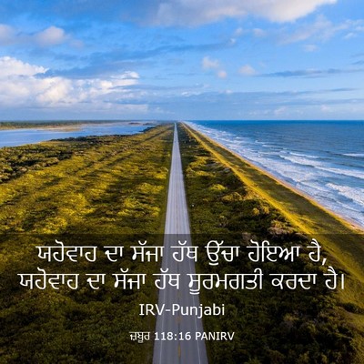 Picture 03 - ਜ਼ਬੂਰ 118:16 PANIRV - ਯਹੋਵਾਹ ਦਾ ਸੱਜਾ ਹੱਥ - Bible Verse Picture