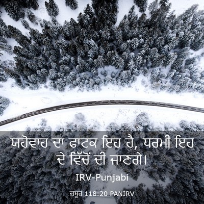 Picture 03 - ਜ਼ਬੂਰ 118:20 PANIRV - ਯਹੋਵਾਹ ਦਾ ਫਾਟਕ ਇਹ - Bible Verse Picture