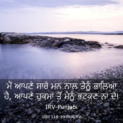 Picture 03 - ਜ਼ਬੂਰ 119:10 PANIRV - ਮੈਂ ਆਪਣੇ ਸਾਰੇ ਮਨ - Bible Verse Picture