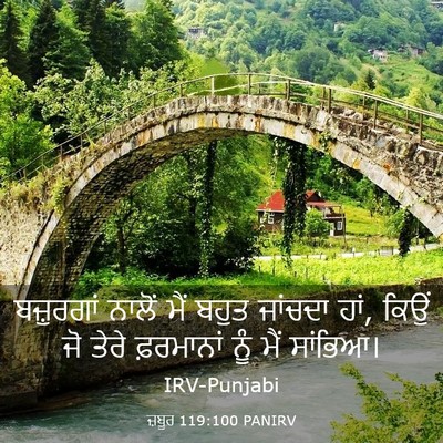 Picture 03 - ਜ਼ਬੂਰ 119:100 PANIRV - ਬਜ਼ੁਰਗਾਂ ਨਾਲੋਂ - Bible Verse Picture
