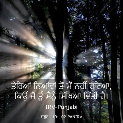 Picture 03 - ਜ਼ਬੂਰ 119:102 PANIRV - ਤੇਰਿਆਂ ਨਿਆਂਵਾਂ - Bible Verse Picture