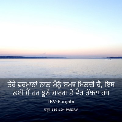 Picture 03 - ਜ਼ਬੂਰ 119:104 PANIRV - ਤੇਰੇ ਫ਼ਰਮਾਨਾਂ ਨਾਲ - Bible Verse Picture