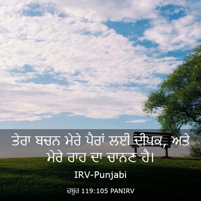 Picture 03 - ਜ਼ਬੂਰ 119:105 PANIRV - ਤੇਰਾ ਬਚਨ ਮੇਰੇ - Bible Verse Picture