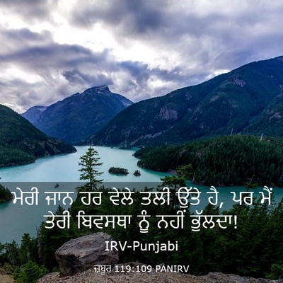 Picture 03 - ਜ਼ਬੂਰ 119:109 PANIRV - ਮੇਰੀ ਜਾਨ ਹਰ ਵੇਲੇ - Bible Verse Picture