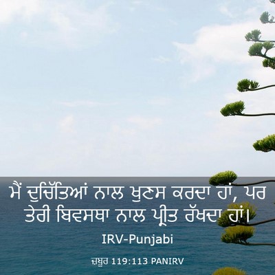 Picture 03 - ਜ਼ਬੂਰ 119:113 PANIRV - ਮੈਂ ਦੁਚਿੱਤਿਆਂ ਨਾਲ - Bible Verse Picture