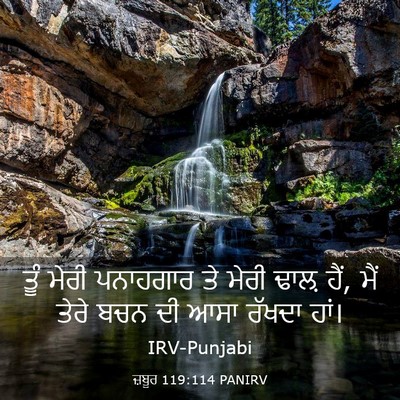 Picture 03 - ਜ਼ਬੂਰ 119:114 PANIRV - ਤੂੰ ਮੇਰੀ ਪਨਾਹਗਾਰ - Bible Verse Picture