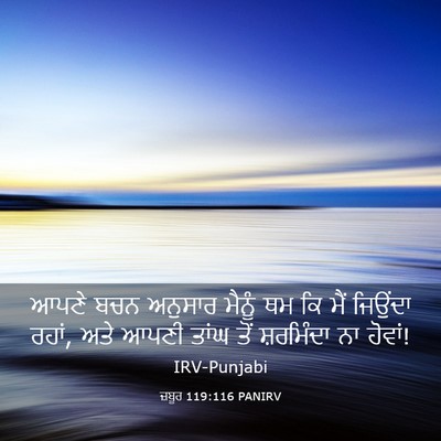 Picture 03 - ਜ਼ਬੂਰ 119:116 PANIRV - ਆਪਣੇ ਬਚਨ ਅਨੁਸਾਰ - Bible Verse Picture