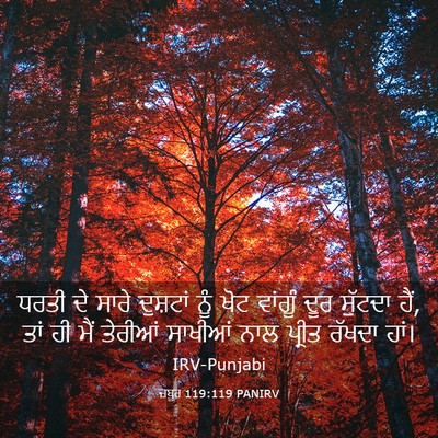 Picture 03 - ਜ਼ਬੂਰ 119:119 PANIRV - ਧਰਤੀ ਦੇ ਸਾਰੇ - Bible Verse Picture