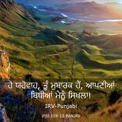 Picture 03 - ਜ਼ਬੂਰ 119:12 PANIRV - ਹੇ ਯਹੋਵਾਹ, ਤੂੰ - Bible Verse Picture