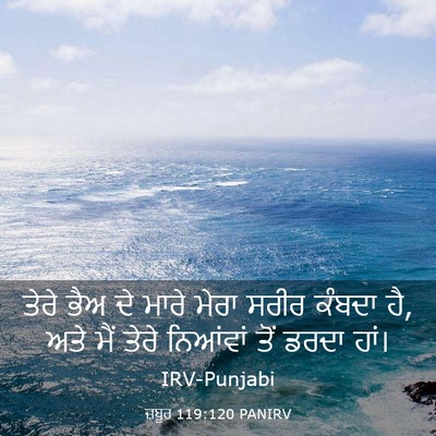 Picture 03 - ਜ਼ਬੂਰ 119:120 PANIRV - ਤੇਰੇ ਭੈਅ ਦੇ ਮਾਰੇ - Bible Verse Picture