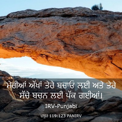 Picture 03 - ਜ਼ਬੂਰ 119:123 PANIRV - ਮੇਰੀਆਂ ਅੱਖਾਂ ਤੇਰੇ - Bible Verse Picture