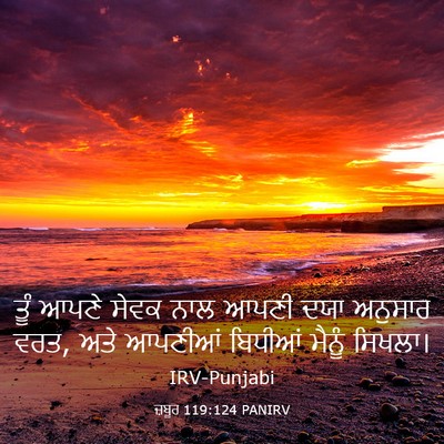 Picture 03 - ਜ਼ਬੂਰ 119:124 PANIRV - ਤੂੰ ਆਪਣੇ ਸੇਵਕ ਨਾਲ - Bible Verse Picture