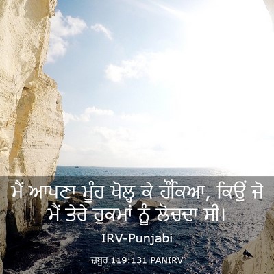 Picture 03 - ਜ਼ਬੂਰ 119:131 PANIRV - ਮੈਂ ਆਪਣਾ ਮੂੰਹ - Bible Verse Picture