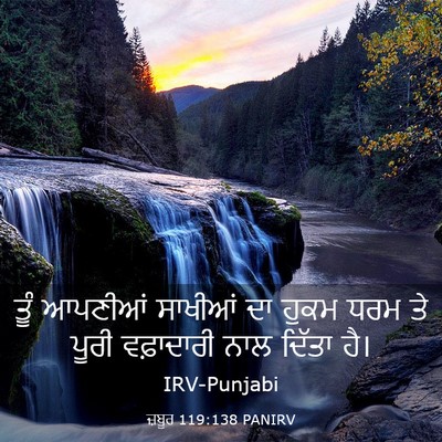 Picture 03 - ਜ਼ਬੂਰ 119:138 PANIRV - ਤੂੰ ਆਪਣੀਆਂ ਸਾਖੀਆਂ - Bible Verse Picture