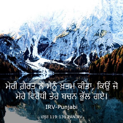 Picture 03 - ਜ਼ਬੂਰ 119:139 PANIRV - ਮੇਰੀ ਗ਼ੈਰਤ ਨੇ - Bible Verse Picture