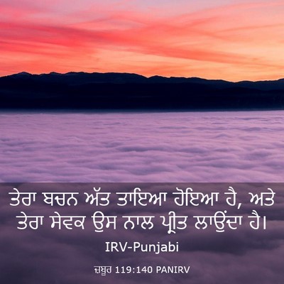 Picture 03 - ਜ਼ਬੂਰ 119:140 PANIRV - ਤੇਰਾ ਬਚਨ ਅੱਤ ਤਾਇਆ - Bible Verse Picture