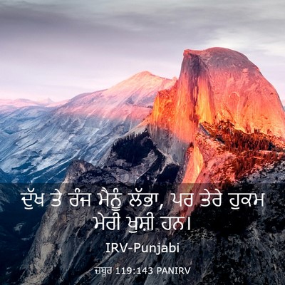 Picture 03 - ਜ਼ਬੂਰ 119:143 PANIRV - ਦੁੱਖ ਤੇ ਰੰਜ ਮੈਨੂੰ - Bible Verse Picture