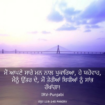 Picture 03 - ਜ਼ਬੂਰ 119:145 PANIRV - ਮੈਂ ਆਪਣੇ ਸਾਰੇ ਮਨ - Bible Verse Picture