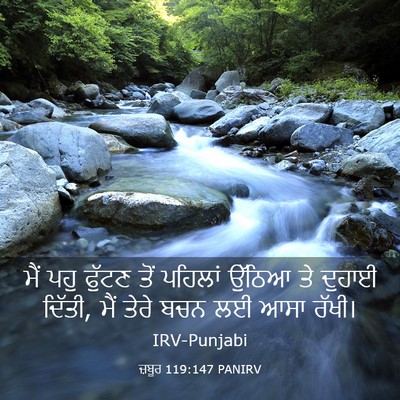 Picture 03 - ਜ਼ਬੂਰ 119:147 PANIRV - ਮੈਂ ਪਹੁ ਫੁੱਟਣ ਤੋਂ - Bible Verse Picture