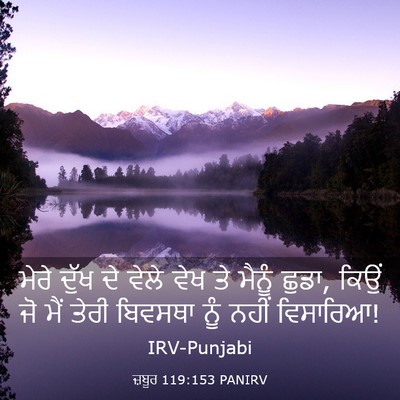 Picture 03 - ਜ਼ਬੂਰ 119:153 PANIRV - ਮੇਰੇ ਦੁੱਖ ਦੇ ਵੇਲੇ - Bible Verse Picture