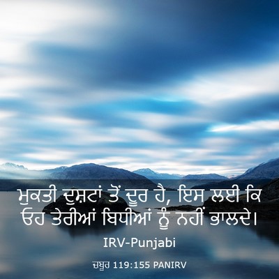 Picture 03 - ਜ਼ਬੂਰ 119:155 PANIRV - ਮੁਕਤੀ ਦੁਸ਼ਟਾਂ ਤੋਂ - Bible Verse Picture