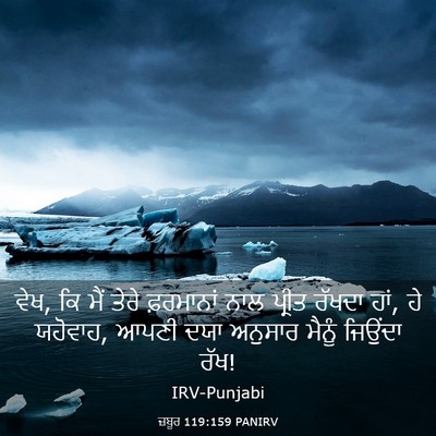 Picture 03 - ਜ਼ਬੂਰ 119:159 PANIRV - ਵੇਖ, ਕਿ ਮੈਂ ਤੇਰੇ - Bible Verse Picture