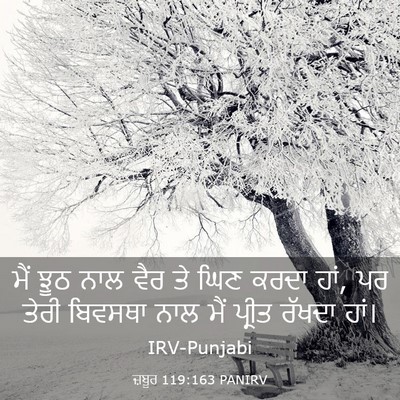Picture 03 - ਜ਼ਬੂਰ 119:163 PANIRV - ਮੈਂ ਝੂਠ ਨਾਲ ਵੈਰ ਤੇ - Bible Verse Picture