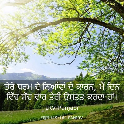 Picture 03 - ਜ਼ਬੂਰ 119:164 PANIRV - ਤੇਰੇ ਧਰਮ ਦੇ - Bible Verse Picture