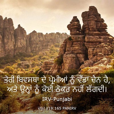 Picture 03 - ਜ਼ਬੂਰ 119:165 PANIRV - ਤੇਰੀ ਬਿਵਸਥਾ ਦੇ - Bible Verse Picture